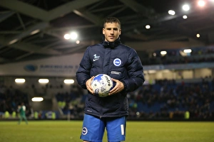 Brighton and Hove Albion vs. Fulham: Sky Bet Championship Showdown at American Express Community Stadium (April 15, 2016)