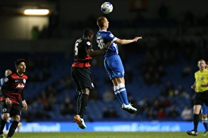 Brighton and Hove Albion vs. QPR: Intense Championship Clash at American Express Community Stadium (19APR16)