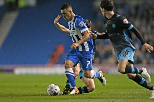 Brighton and Hove Albion vs. Sheffield Wednesday: Sky Bet Championship Play-Off Showdown at American Express Community Stadium (16 May 2016)