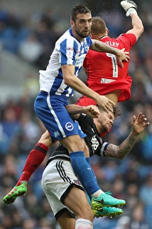 Brighton and Hove Albion vs. Brentford: EFL Sky Bet Championship Showdown at American Express Community Stadium (10SEP16)