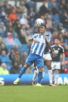 Brighton and Hove Albion vs. Brentford: A Championship Showdown at the American Express Community Stadium (10SEP16)