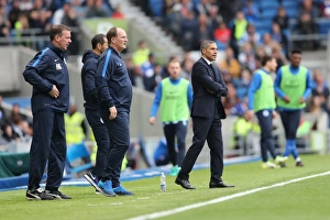 Brighton and Hove Albion vs. Preston North End: A Fierce EFL Sky Bet Championship Clash at the American Express Community Stadium (15OCT16)
