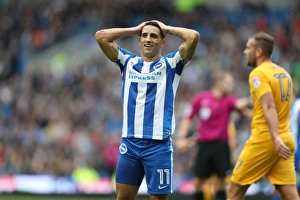 Brighton and Hove Albion vs. Preston North End: A Fierce EFL Sky Bet Championship Clash at the American Express Community Stadium (15OCT16)