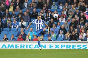 Brighton and Hove Albion vs. Preston North End: A Fierce EFL Sky Bet Championship Clash at American Express Community Stadium (15OCT16)