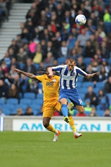 Brighton and Hove Albion vs. Preston North End: A Fierce EFL Sky Bet Championship Clash at the American Express Community Stadium (15OCT16)