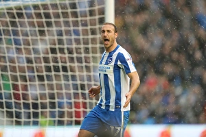 Brighton and Hove Albion vs. Preston North End: A Fierce EFL Sky Bet Championship Clash at the American Express Community Stadium (15OCT16)