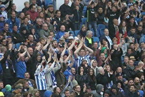 Brighton and Hove Albion vs. Preston North End: A Fierce EFL Sky Bet Championship Clash at the American Express Community Stadium (15OCT16)