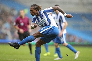 Brighton and Hove Albion vs. Preston North End: A Fierce EFL Sky Bet Championship Clash at the American Express Community Stadium (15OCT16)