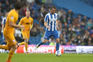 Brighton and Hove Albion vs. Preston North End: A Fierce EFL Sky Bet Championship Clash at the American Express Community Stadium (15OCT16)