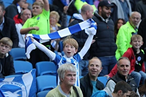 Brighton and Hove Albion vs. Preston North End: A Fierce EFL Sky Bet Championship Clash at the American Express Community Stadium (15OCT16)