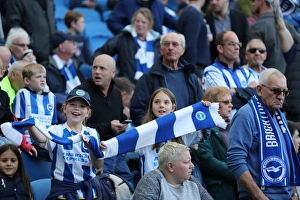Brighton and Hove Albion vs. Preston North End: A Fierce EFL Sky Bet Championship Clash at the American Express Community Stadium (15OCT16)