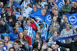 Brighton and Hove Albion vs. Preston North End: A Fierce EFL Sky Bet Championship Clash at the American Express Community Stadium (15OCT16)