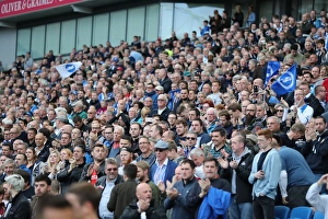 Brighton and Hove Albion vs. Preston North End: A Fierce Championship Clash at the American Express Community Stadium (15OCT16)