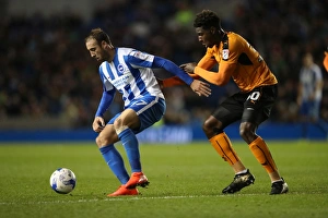 Brighton and Hove Albion vs. Wolverhampton Wanderers: Sky Bet Championship Showdown at American Express Community Stadium (19th October 2016)
