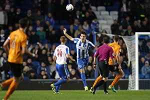 Brighton & Hove Albion vs. Wolverhampton Wanderers: A Championship Showdown at the American Express Community Stadium (19th October 2016)
