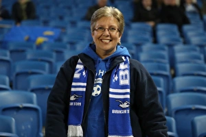 Brighton and Hove Albion vs. Wolverhampton Wanderers: Sky Bet Championship Showdown at American Express Community Stadium (19th October 2016)