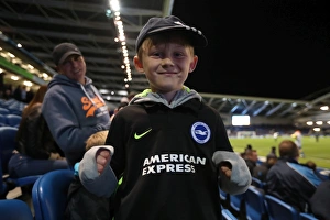 Brighton and Hove Albion vs. Wolverhampton Wanderers: Sky Bet Championship Clash at American Express Community Stadium (October 19, 2016)
