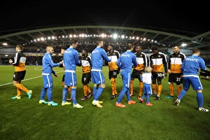 Brighton and Hove Albion vs. Wolverhampton Wanderers: Sky Bet Championship Showdown at American Express Community Stadium (October 19, 2016)