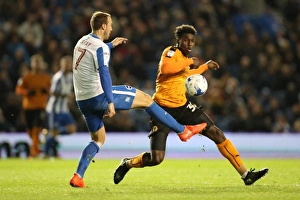 Brighton & Hove Albion vs. Wolverhampton Wanderers: EFL Sky Bet Championship Clash at American Express Community Stadium (19th October 2016)