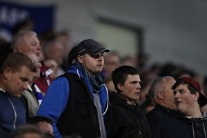 Brighton and Hove Albion vs. Wolverhampton Wanderers: EFL Sky Bet Championship Clash at American Express Community Stadium (19th October 2016)