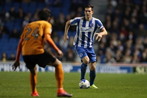 Brighton and Hove Albion vs. Wolverhampton Wanderers: EFL Sky Bet Championship Showdown at American Express Community Stadium (October 19, 2016)