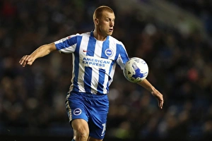Brighton and Hove Albion vs. Wolverhampton Wanderers: Sky Bet Championship Clash at American Express Community Stadium (October 19, 2016)