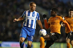 Brighton and Hove Albion vs. Wolverhampton Wanderers: EFL Sky Bet Championship Showdown at American Express Community Stadium (October 19, 2016)