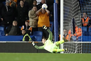 Brighton and Hove Albion vs. Wolverhampton Wanderers: EFL Sky Bet Championship Showdown at American Express Community Stadium (19th October 2016)