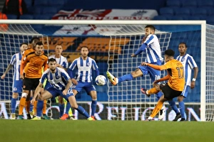 Brighton and Hove Albion vs. Wolverhampton Wanderers: EFL Sky Bet Championship Showdown at American Express Community Stadium (19th October 2016)