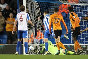 Brighton and Hove Albion vs. Wolverhampton Wanderers: Sky Bet Championship Showdown at the American Express Community Stadium (19th October 2016)