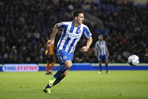 Brighton and Hove Albion vs. Wolverhampton Wanderers: Sky Bet Championship Showdown at American Express Community Stadium (19th October 2016)
