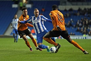 Brighton and Hove Albion vs. Wolverhampton Wanderers: Sky Bet Championship Showdown at American Express Community Stadium (19th October 2016)