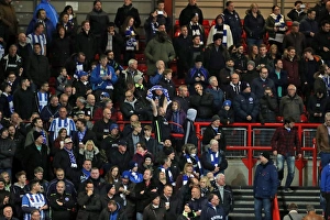 Brighton and Hove Albion vs. Bristol City: EFL Sky Bet Championship Showdown at Ashton Gate Stadium (November 2016)