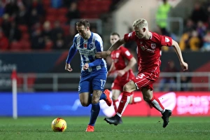 Brighton and Hove Albion vs. Bristol City: EFL Sky Bet Championship Showdown at Ashton Gate Stadium (November 2016)