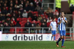 Brighton and Hove Albion vs. Bristol City: EFL Sky Bet Championship Showdown at Ashton Gate Stadium (November 2016)