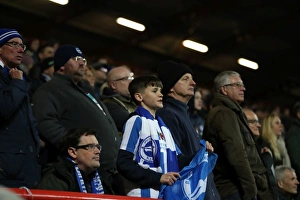 Brighton and Hove Albion vs. Bristol City: EFL Sky Bet Championship Showdown at Ashton Gate Stadium (Nov 2016)