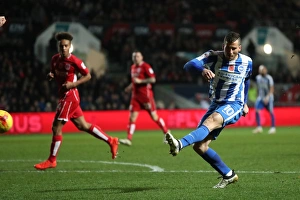 Brighton and Hove Albion vs. Bristol City: EFL Sky Bet Championship Showdown at Ashton Gate Stadium (November 2016)