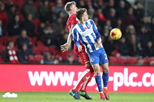 Brighton and Hove Albion vs. Bristol City: EFL Sky Bet Championship Showdown at Ashton Gate Stadium (November 2016)