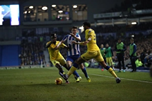 Brighton and Hove Albion vs. Leeds United: EFL Sky Bet Championship Showdown at American Express Community Stadium (December 9, 2016)
