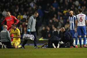 Brighton and Hove Albion vs. Leeds United: EFL Sky Bet Championship Showdown at American Express Community Stadium (December 9, 2016)