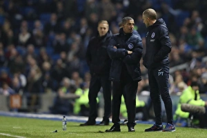 Brighton and Hove Albion vs. Leeds United: EFL Sky Bet Championship Showdown at American Express Community Stadium (December 9, 2016)