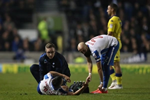 Brighton and Hove Albion vs. Leeds United: EFL Sky Bet Championship Showdown at American Express Community Stadium (December 9, 2016)