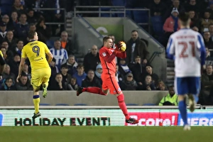 Brighton and Hove Albion vs. Leeds United: EFL Sky Bet Championship Showdown at American Express Community Stadium (December 9, 2016)