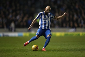 Brighton and Hove Albion vs. Leeds United: EFL Sky Bet Championship Showdown at American Express Community Stadium (December 9, 2016)