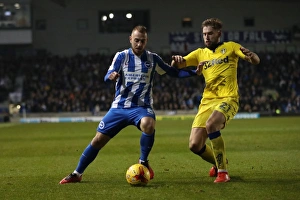 Brighton and Hove Albion vs. Leeds United: EFL Sky Bet Championship Clash at American Express Community Stadium (December 9, 2016)