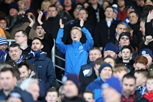 Brighton and Hove Albion vs. Fulham: EFL Sky Bet Championship Clash at Craven Cottage (02JAN17) - Intense Match Action
