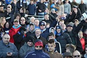Brighton and Hove Albion vs. Fulham: EFL Sky Bet Championship Clash at Craven Cottage (02JAN17) - Intense Action on the Field