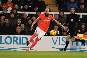 Brighton and Hove Albion vs. Fulham: EFL Sky Bet Championship Clash at Craven Cottage (02JAN17) - Intense Action on the Field