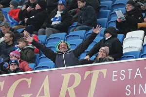 Brighton and Hove Albion vs. Burton Albion: EFL Sky Bet Championship Showdown at American Express Community Stadium (February 11, 2017)