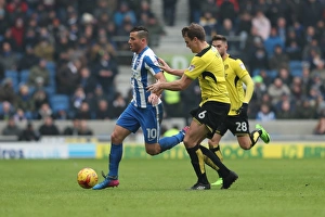 Brighton and Hove Albion vs. Burton Albion: EFL Sky Bet Championship Showdown at American Express Community Stadium (February 11, 2017)